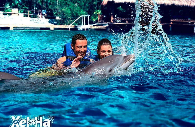 Excursão 26 - Golfinhos Ride + Parque Xel-ha