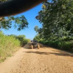 Gallery Thumbnail 2