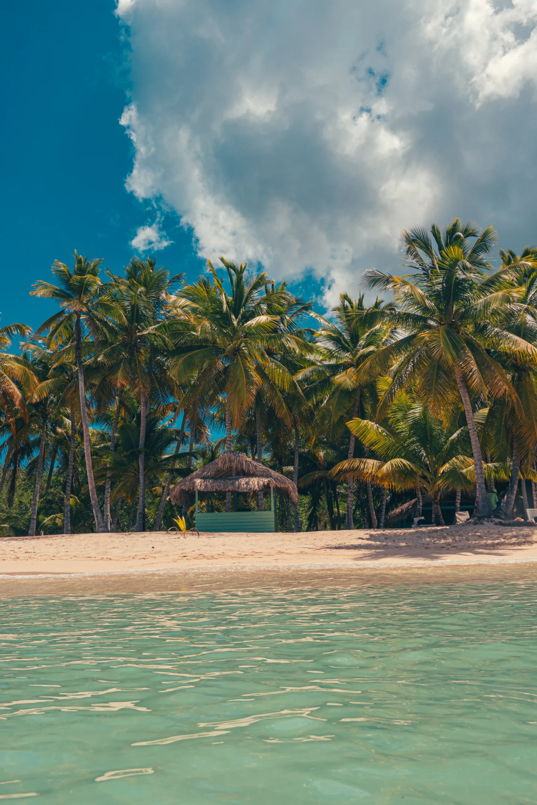 Destaque – Excursão 17 – Tesouros De Adamanay (Saona) – 3 praias – Bayahibefoto_10