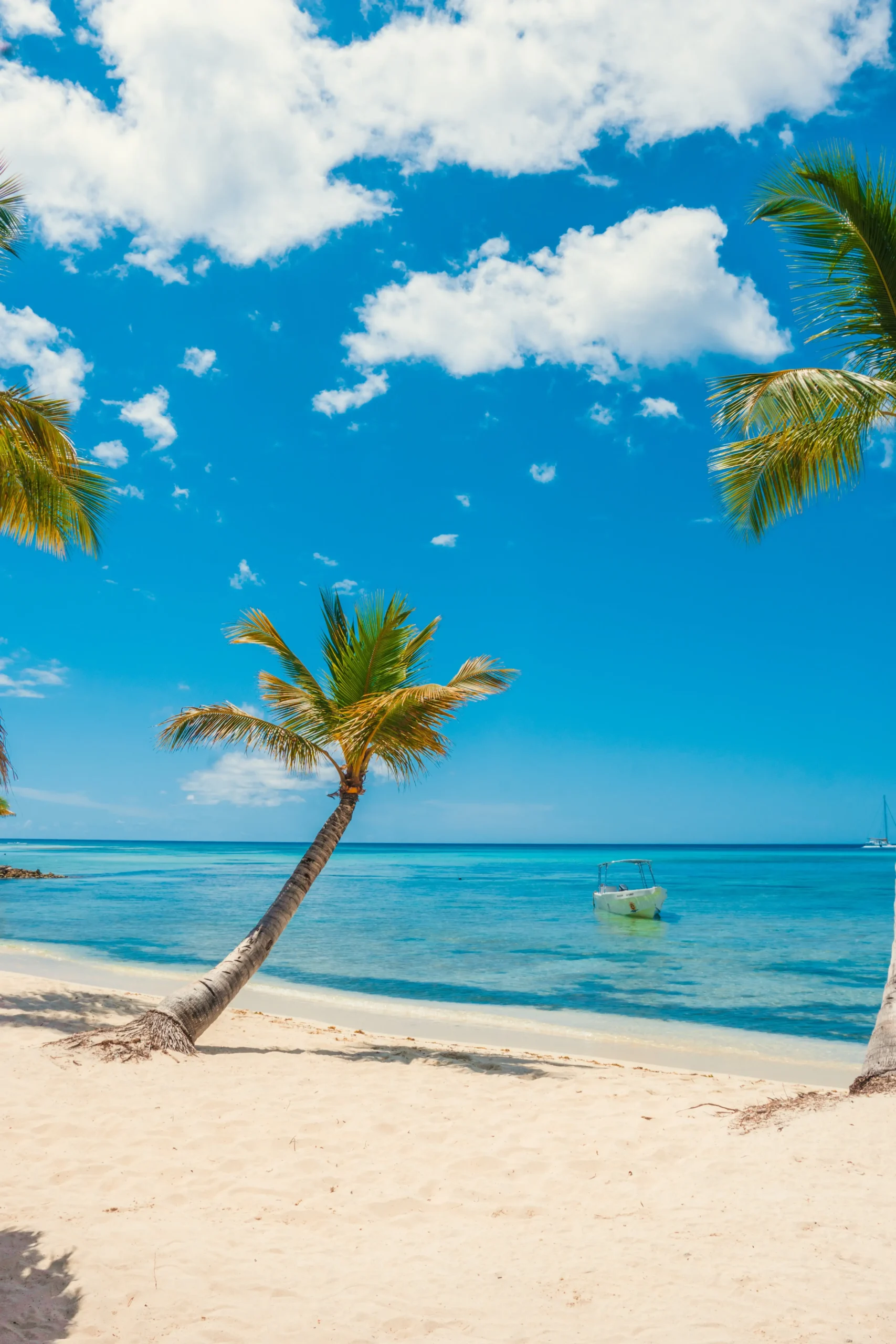 Destaque – Excursão 17 – Tesouros De Adamanay (Saona) – 3 praias – Bayahibefoto_6-optimised