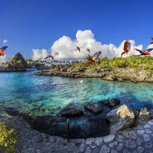 Excursão 04 - Parque Xcaret Básico