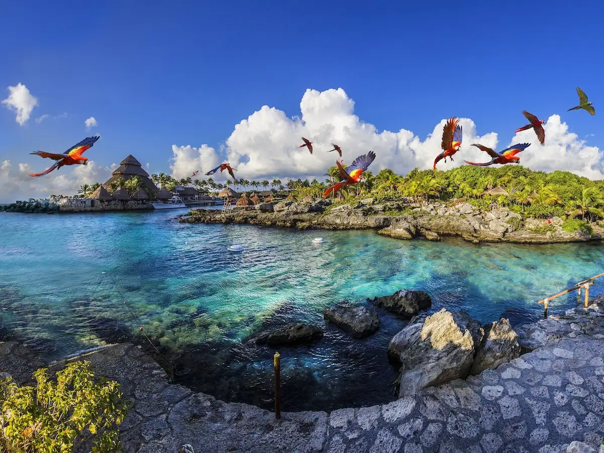 Excursão 04 – Parque Xcaret Plusfoto_1-optimised