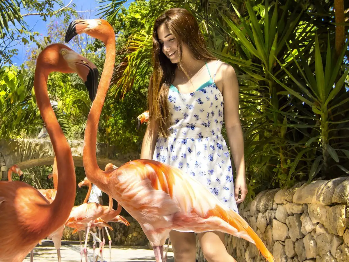 Excursão 04 – Parque Xcaret Plusfoto_7-optimised