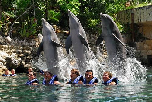 Excursão 06 – Parque Xcaret Plus + Nado Com Golfinhos (Dolphin Interax)foto_4
