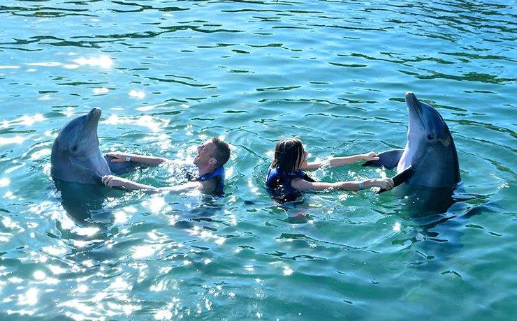 Excursão 06 – Parque Xcaret Plus + Nado Com Golfinhos (Dolphin Interax)foto_5