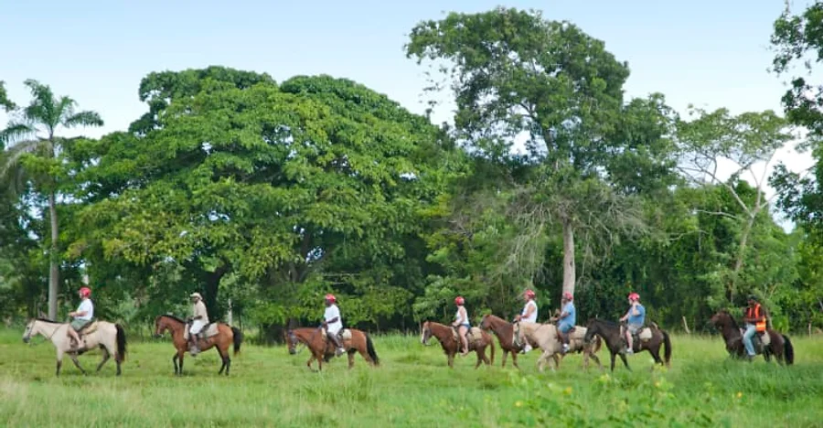 Excursão 06 – Safari Dominicano (Safari) – Bayahibefoto_5