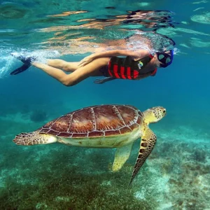 Excursão 08 - Snorkel com Tartarugas + Tulum + Cenote (Excursão Sub-Contratada)
