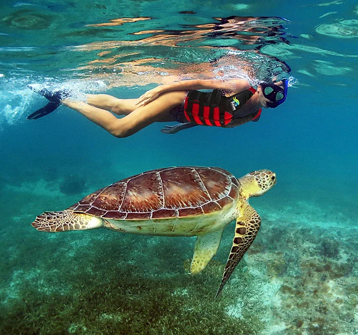 Excursão 08 – Snorkel com Tartarugas + Tulum + Cenote (Excursão Sub-Contratada)foto_10