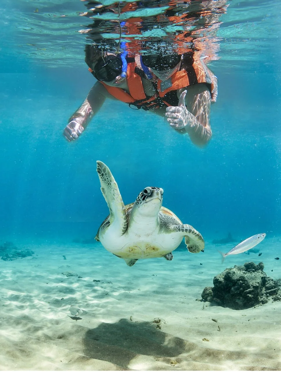 Excursão 08 – Snorkel com Tartarugas + Tulum + Cenote (Excursão Sub-Contratada)foto_5