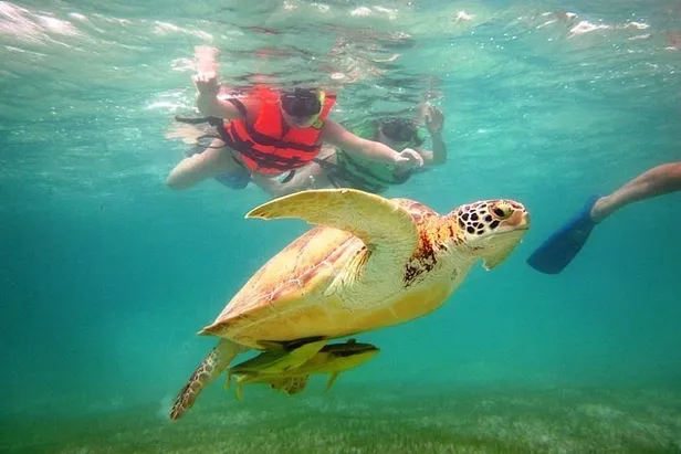 Excursão 08 – Snorkel com Tartarugas + Tulum + Cenote (Excursão Sub-Contratada)foto_7