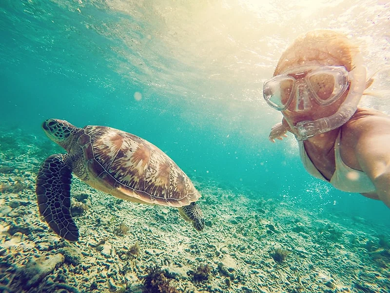 Excursão 08 – Snorkel com Tartarugas + Tulum + Cenote (Excursão Sub-Contratada)foto_9