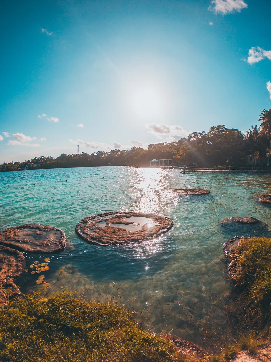 Excursão 09 – Bacalarfoto_8