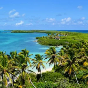 Excursão 14 - Isla Contoy & Isla Mujeres
