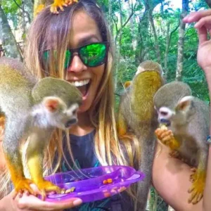 Excursão 14 - Monkeyland Park