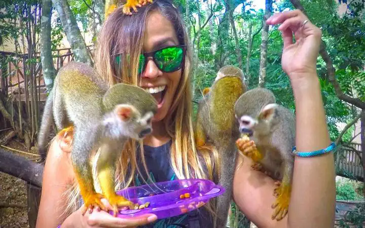 Excursão 14 – Monkeyland Parkfoto_2-optimised