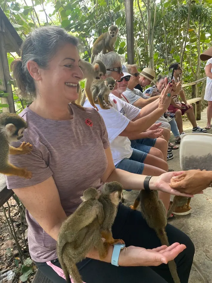 Excursão 14 – Monkeyland Parkfoto_3