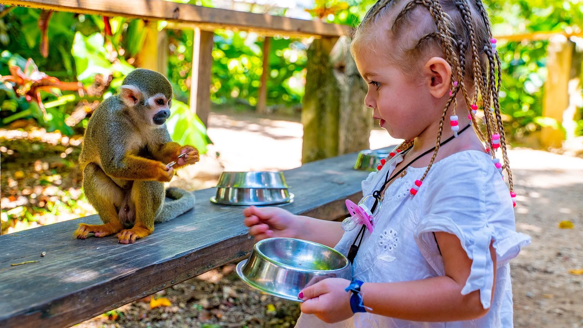 Excursão 14 – Monkeyland Parkfoto_5