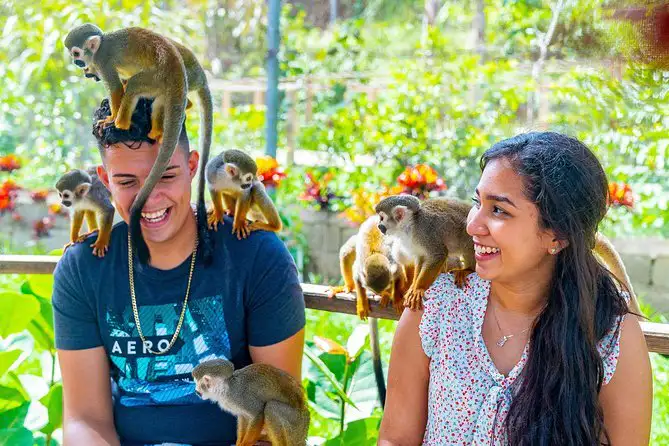 Excursão 14 – Monkeyland Parkfoto_6-optimised