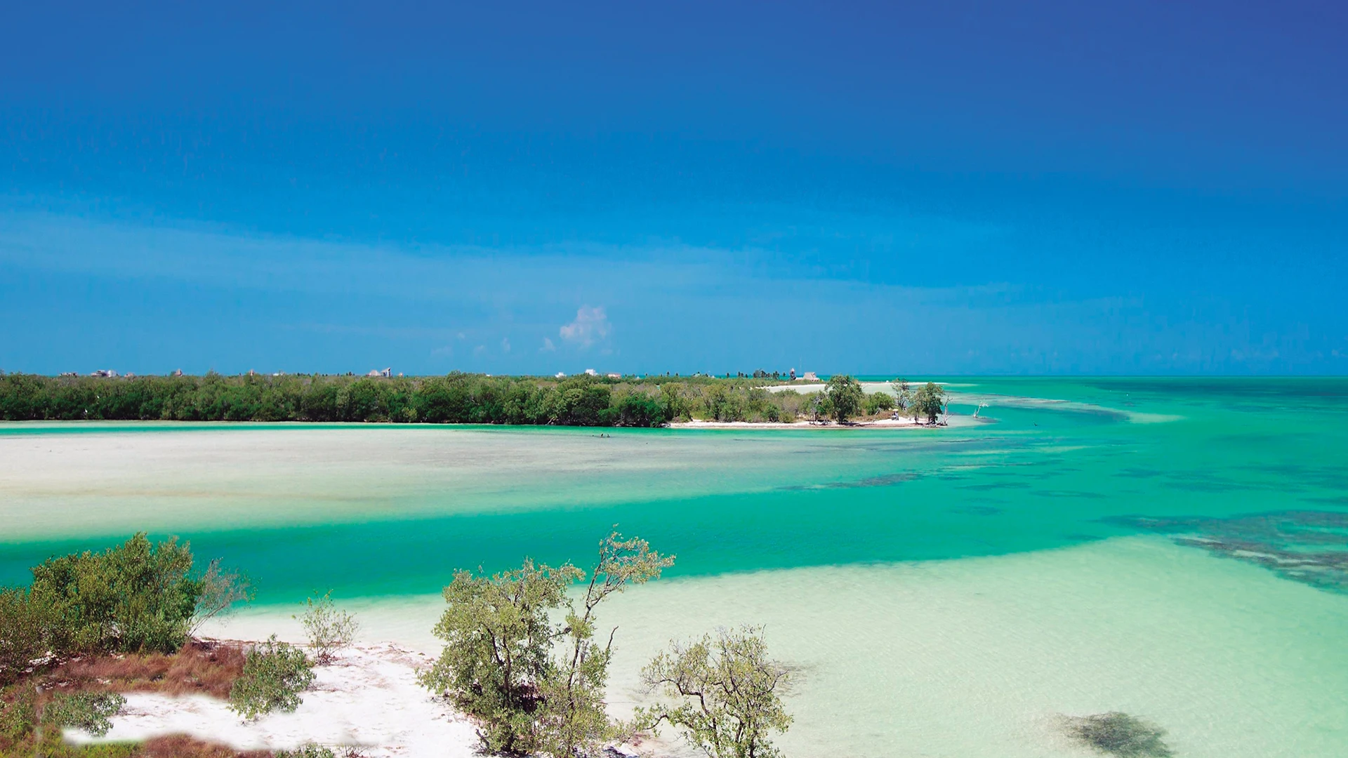 Excursão 15 – Isla Holboxfoto_11