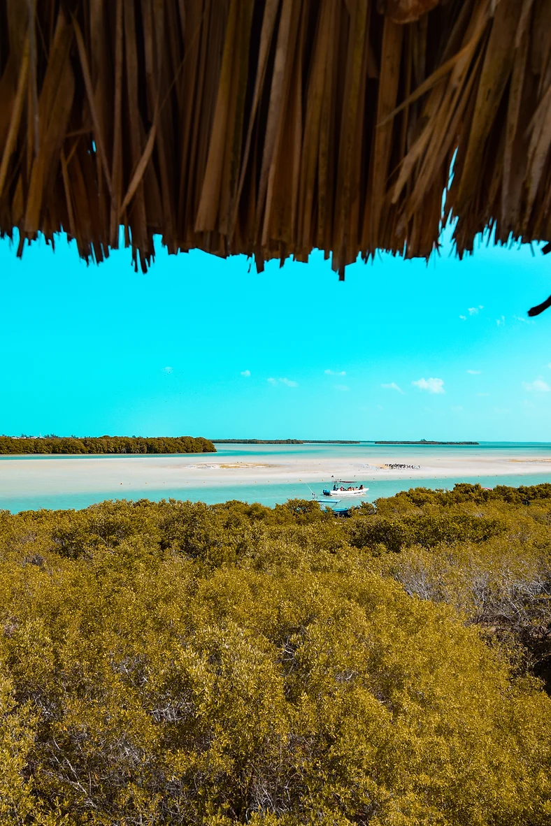 Excursão 15 – Isla Holboxfoto_13