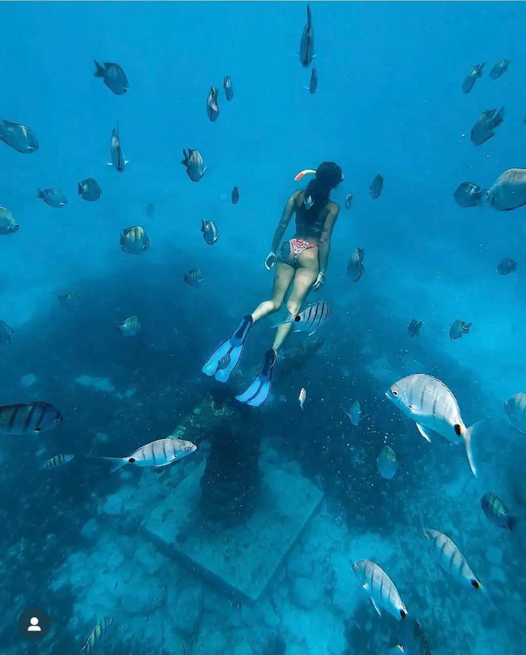 rimain-tours-cabo-verde-snorkeling 1
