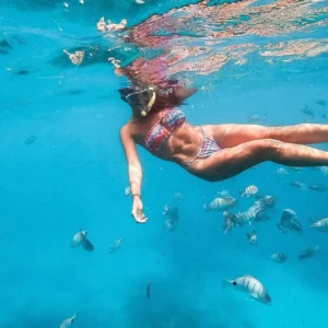 Snorkeling Experience